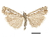  ( - CCDB-30819-G06)  @13 [ ] CreativeCommons - Attribution (2018) CBG Photography Group Centre for Biodiversity Genomics