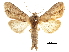  ( - CCDB-30820-A04)  @11 [ ] CreativeCommons - Attribution (2018) CBG Photography Group Centre for Biodiversity Genomics