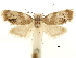  ( - CCDB-30821-B10)  @11 [ ] CreativeCommons - Attribution (2018) CBG Photography Group Centre for Biodiversity Genomics