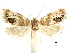  ( - CCDB-30821-B12)  @11 [ ] CreativeCommons - Attribution (2018) CBG Photography Group Centre for Biodiversity Genomics