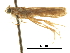  ( - CCDB-30821-E12)  @11 [ ] CreativeCommons - Attribution (2018) CBG Photography Group Centre for Biodiversity Genomics
