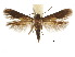  ( - CCDB-30822-D05)  @11 [ ] CreativeCommons - Attribution (2018) CBG Photography Group Centre for Biodiversity Genomics