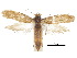  ( - CCDB-30822-G04)  @11 [ ] CreativeCommons - Attribution (2018) CBG Photography Group Centre for Biodiversity Genomics