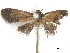  ( - CCDB-30823-B12)  @11 [ ] CreativeCommons - Attribution (2018) CBG Photography Group Centre for Biodiversity Genomics
