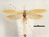  ( - CCDB-30823-F10)  @11 [ ] CreativeCommons - Attribution (2018) CBG Photography Group Centre for Biodiversity Genomics