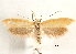  ( - CCDB-30823-F11)  @11 [ ] CreativeCommons - Attribution (2018) CBG Photography Group Centre for Biodiversity Genomics
