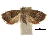  ( - CCDB-30826-A04)  @11 [ ] CreativeCommons - Attribution (2018) CBG Photography Group Centre for Biodiversity Genomics