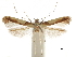  ( - CCDB-30826-C03)  @11 [ ] CreativeCommons - Attribution (2018) CBG Photography Group Centre for Biodiversity Genomics