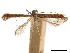  ( - CCDB-30826-C04)  @11 [ ] CreativeCommons - Attribution (2018) CBG Photography Group Centre for Biodiversity Genomics