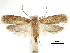  ( - CCDB-30826-D10)  @11 [ ] CreativeCommons - Attribution (2018) CBG Photography Group Centre for Biodiversity Genomics