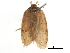 ( - CCDB-30826-F10)  @11 [ ] CreativeCommons - Attribution (2018) CBG Photography Group Centre for Biodiversity Genomics