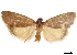  ( - CCDB-30828-H02)  @11 [ ] CreativeCommons - Attribution (2018) CBG Photography Group Centre for Biodiversity Genomics