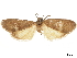  ( - CCDB-30828-H04)  @11 [ ] CreativeCommons - Attribution (2018) CBG Photography Group Centre for Biodiversity Genomics