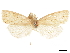  ( - CCDB-30828-H07)  @11 [ ] CreativeCommons - Attribution (2018) CBG Photography Group Centre for Biodiversity Genomics
