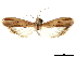  ( - CCDB-31553-H05)  @11 [ ] CreativeCommons - Attribution (2018) CBG Photography Group Centre for Biodiversity Genomics