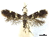  ( - CCDB-32139-E04)  @11 [ ] CreativeCommons - Attribution (2018) CBG Photography Group Centre for Biodiversity Genomics