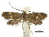  ( - CCDB-32139-G05)  @11 [ ] CreativeCommons - Attribution (2018) CBG Photography Group Centre for Biodiversity Genomics