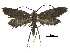  ( - CCDB-32139-G06)  @11 [ ] CreativeCommons - Attribution (2018) CBG Photography Group Centre for Biodiversity Genomics