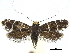  ( - CCDB-32139-G10)  @11 [ ] CreativeCommons - Attribution (2018) CBG Photography Group Centre for Biodiversity Genomics