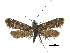  ( - CCDB-32139-G11)  @11 [ ] CreativeCommons - Attribution (2018) CBG Photography Group Centre for Biodiversity Genomics