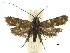  ( - CCDB-32139-H04)  @11 [ ] CreativeCommons - Attribution (2018) CBG Photography Group Centre for Biodiversity Genomics