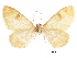  ( - CCDB-32786-F01)  @11 [ ] CreativeCommons - Attribution (2018) CBG Photography Group Centre for Biodiversity Genomics