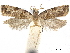 ( - CCDB-32973-G05)  @11 [ ] CreativeCommons - Attribution (2019) CBG Photography Group Centre for Biodiversity Genomics