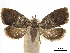  ( - CCDB-32974-A10)  @11 [ ] CreativeCommons - Attribution (2019) CBG Photography Group Centre for Biodiversity Genomics