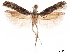  ( - CCDB-32974-G07)  @11 [ ] CreativeCommons - Attribution (2019) CBG Photography Group Centre for Biodiversity Genomics