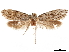  ( - CCDB-32975-B11)  @12 [ ] CreativeCommons - Attribution (2019) CBG Photography Group Centre for Biodiversity Genomics