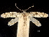 ( - CCDB-32975-C11)  @11 [ ] CreativeCommons - Attribution (2019) CBG Photography Group Centre for Biodiversity Genomics