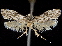  ( - CCDB-32975-D07)  @12 [ ] CreativeCommons - Attribution (2019) CBG Photography Group Centre for Biodiversity Genomics