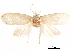  ( - CCDB-32975-E02)  @11 [ ] CreativeCommons - Attribution (2019) CBG Photography Group Centre for Biodiversity Genomics