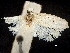  ( - CCDB-32975-E04)  @11 [ ] CreativeCommons - Attribution (2019) CBG Photography Group Centre for Biodiversity Genomics
