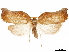  ( - CCDB-32976-B09)  @11 [ ] CreativeCommons - Attribution (2019) CBG Photography Group Centre for Biodiversity Genomics