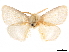  ( - CCDB-32976-C08)  @11 [ ] CreativeCommons - Attribution (2019) CBG Photography Group Centre for Biodiversity Genomics