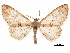  ( - CCDB-32976-C11)  @11 [ ] CreativeCommons - Attribution (2019) CBG Photography Group Centre for Biodiversity Genomics