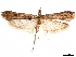  ( - CCDB-32976-H07)  @11 [ ] CreativeCommons - Attribution (2019) CBG Photography Group Centre for Biodiversity Genomics