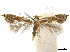  ( - CCDB-32977-C12)  @11 [ ] CreativeCommons - Attribution (2019) CBG Photography Group Centre for Biodiversity Genomics