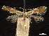  ( - CCDB-32977-D01)  @11 [ ] CreativeCommons - Attribution (2019) CBG Photography Group Centre for Biodiversity Genomics