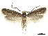  ( - CCDB-32977-E07)  @11 [ ] CreativeCommons - Attribution (2019) CBG Photography Group Centre for Biodiversity Genomics