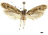 ( - CCDB-32977-E10)  @11 [ ] CreativeCommons - Attribution (2019) CBG Photography Group Centre for Biodiversity Genomics