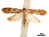 ( - CCDB-32977-E11)  @11 [ ] CreativeCommons - Attribution (2019) CBG Photography Group Centre for Biodiversity Genomics