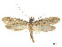  ( - CCDB-32977-F04)  @11 [ ] CreativeCommons - Attribution (2019) CBG Photography Group Centre for Biodiversity Genomics