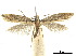  ( - CCDB-32977-F09)  @12 [ ] CreativeCommons - Attribution (2019) CBG Photography Group Centre for Biodiversity Genomics