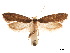  ( - CCDB-32977-G02)  @11 [ ] CreativeCommons - Attribution (2019) CBG Photography Group Centre for Biodiversity Genomics