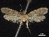  ( - CCDB-32977-G12)  @11 [ ] CreativeCommons - Attribution (2019) CBG Photography Group Centre for Biodiversity Genomics