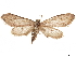  ( - CCDB-32978-B05)  @11 [ ] CreativeCommons - Attribution (2018) CBG Photography Group Centre for Biodiversity Genomics