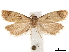  ( - CCDB-33189-D10)  @12 [ ] CreativeCommons - Attribution (2019) CBG Photography Group Centre for Biodiversity Genomics