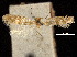  ( - CCDB-30824-B10)  @11 [ ] CreativeCommons - Attribution (2018) CBG Photography Group Centre for Biodiversity Genomics